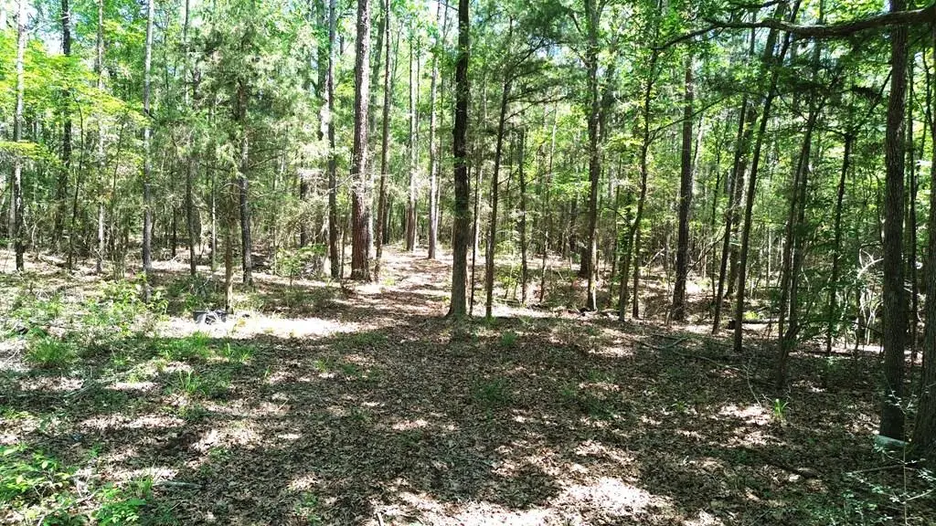 PARCEL#41620 Cr 4720, Kennard, TX 75847 - #1