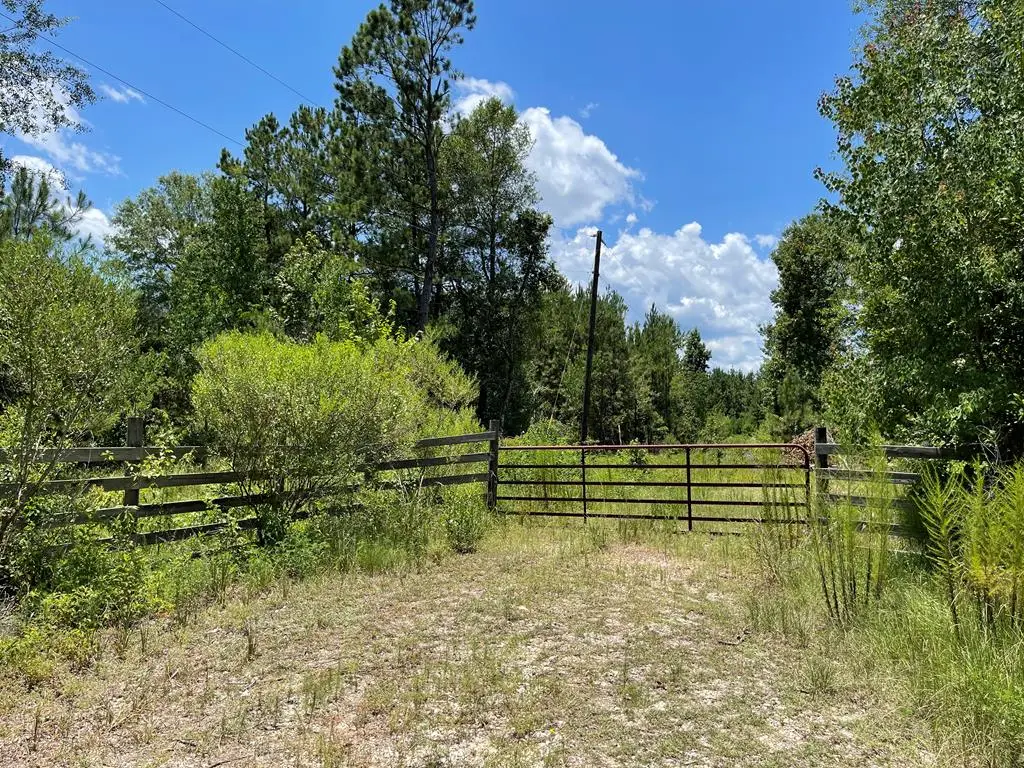 296 County Road 149, Jasper, TX 75951 - #1