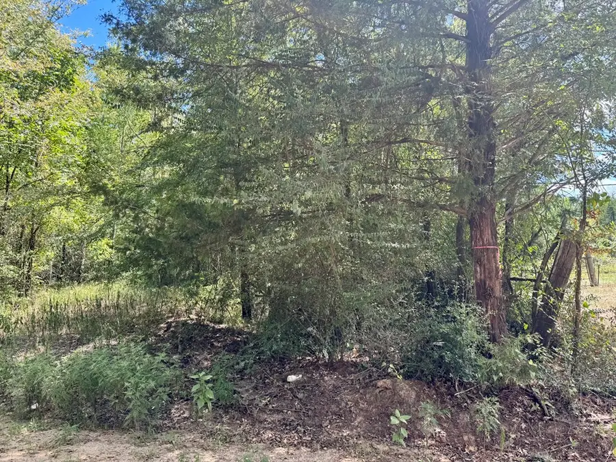 PARCEL#13270 Cr 4545, Kennard, TX 75847 - #3