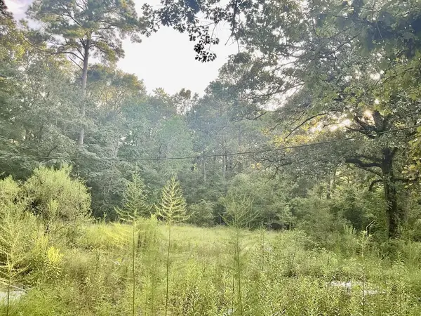 3508 Gilliland Creek Road, Huntington, TX 75949