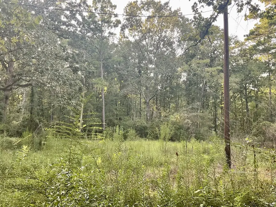 3508 Gilliland Creek Road, Huntington, TX 75949 - #2
