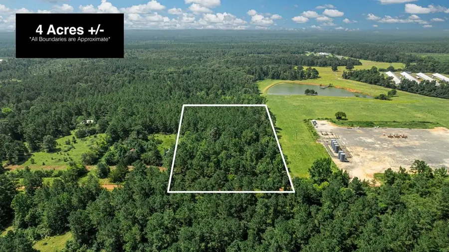376 Cr 444, Chireno, TX 75937 - #2