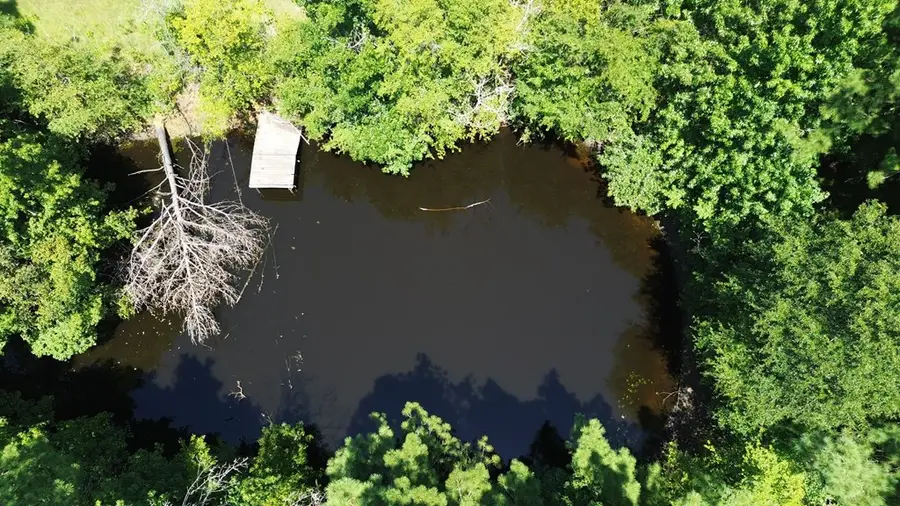 354 Cr 3025, Crockett, TX 75835 - #3