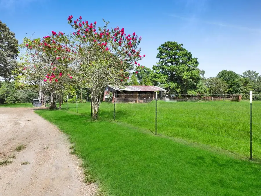 480 County Road 339, Jasper, TX 75951 - #3