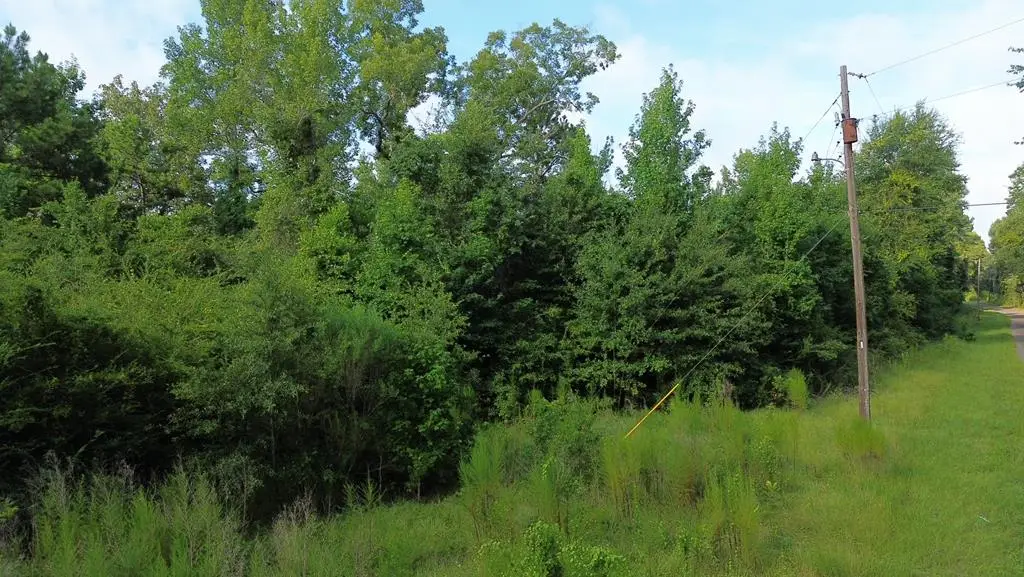 County road 520 Fm 1013 W, Kirbyville, TX 75956 - #1