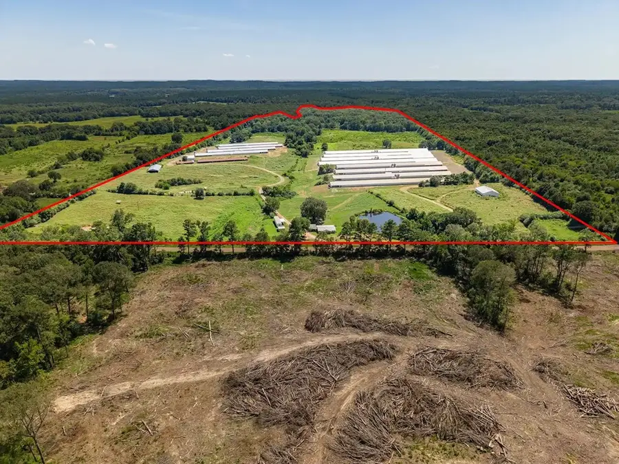 1286 Fm 2261, Shelbyville, TX 75973 - #2