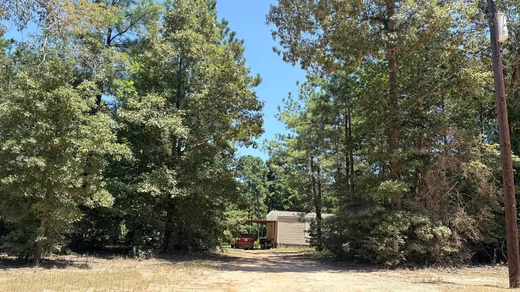 391 Deer Country Rd, Chester, TX 75936 - #1