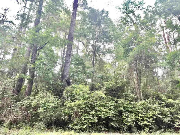 Lot: 403 Starboard Drive, Hemphill, TX 75948