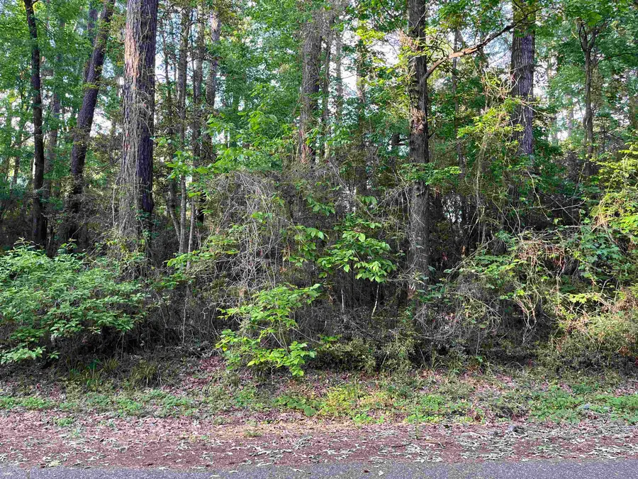 Lot: 403 Starboard Drive, Hemphill, TX 75948 - #3