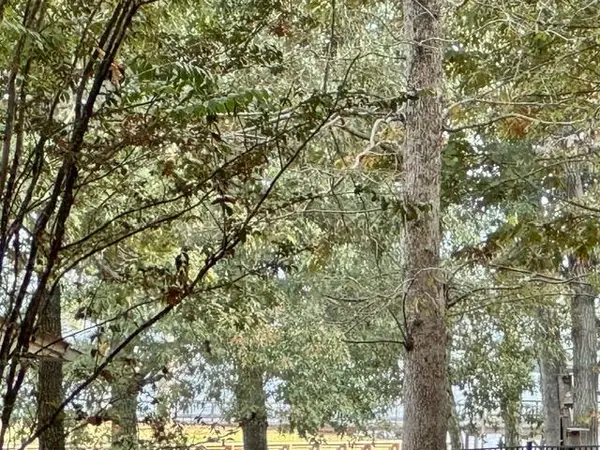 1319 Lake Shore Drive, Hemphill, TX 75948