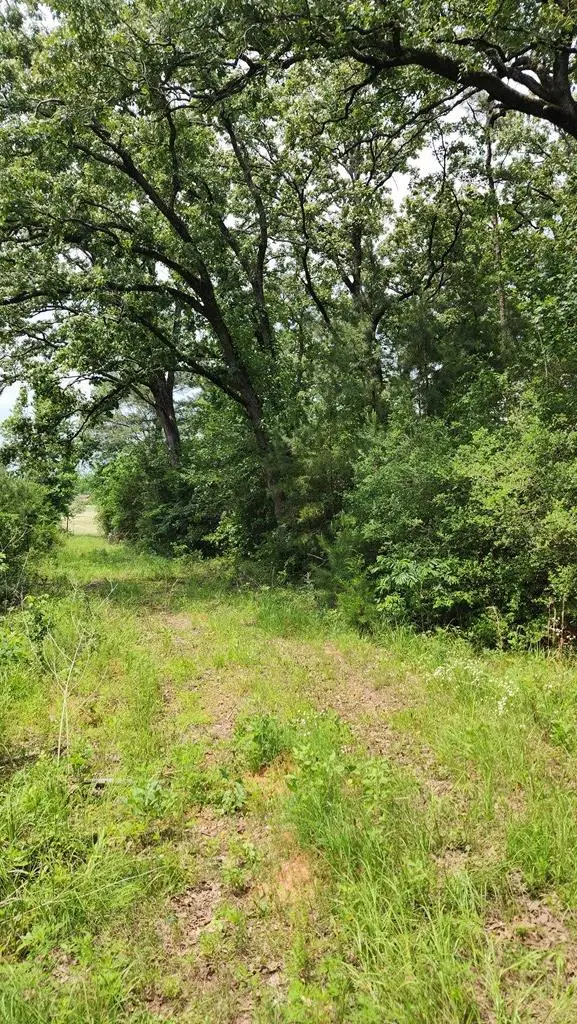 1281 Cr 864, Cushing, TX 75760 - #2