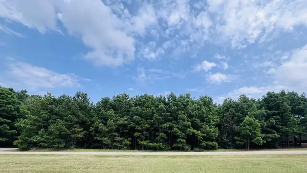 284 Leeward Drive, Hemphill, TX 75948
