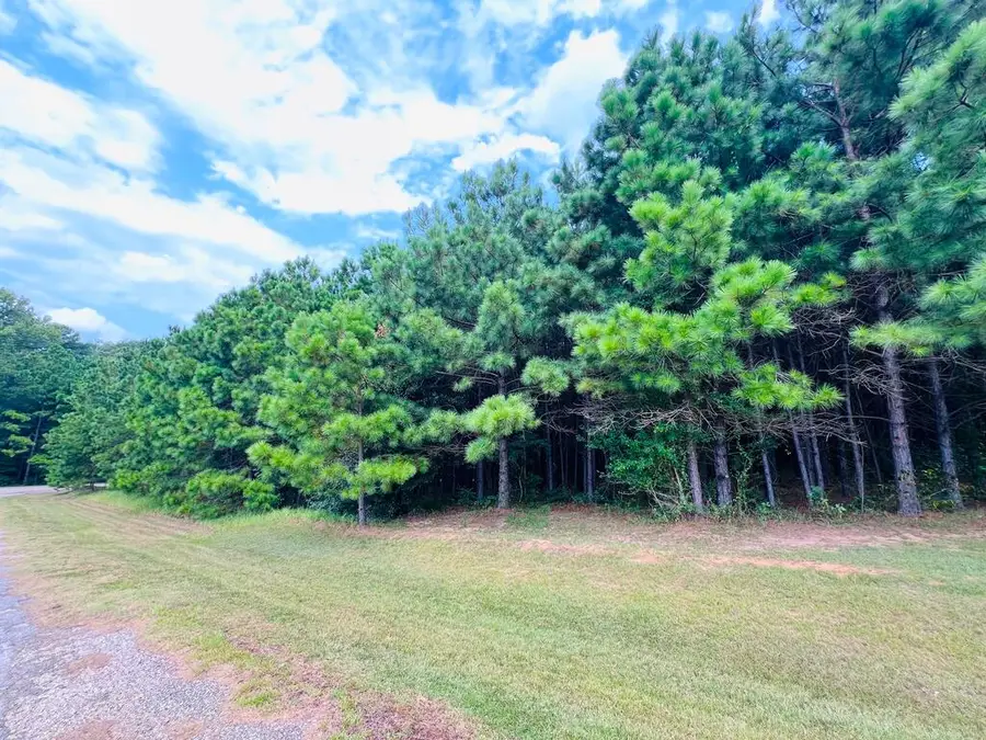 284 Leeward Drive, Hemphill, TX 75948 - #2