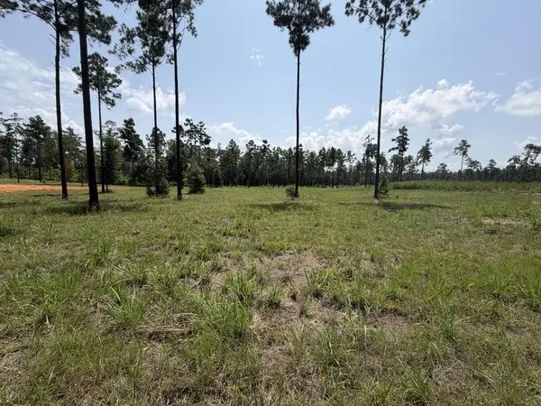 1000 Private Rd 6026, Brookeland, TX 75931
