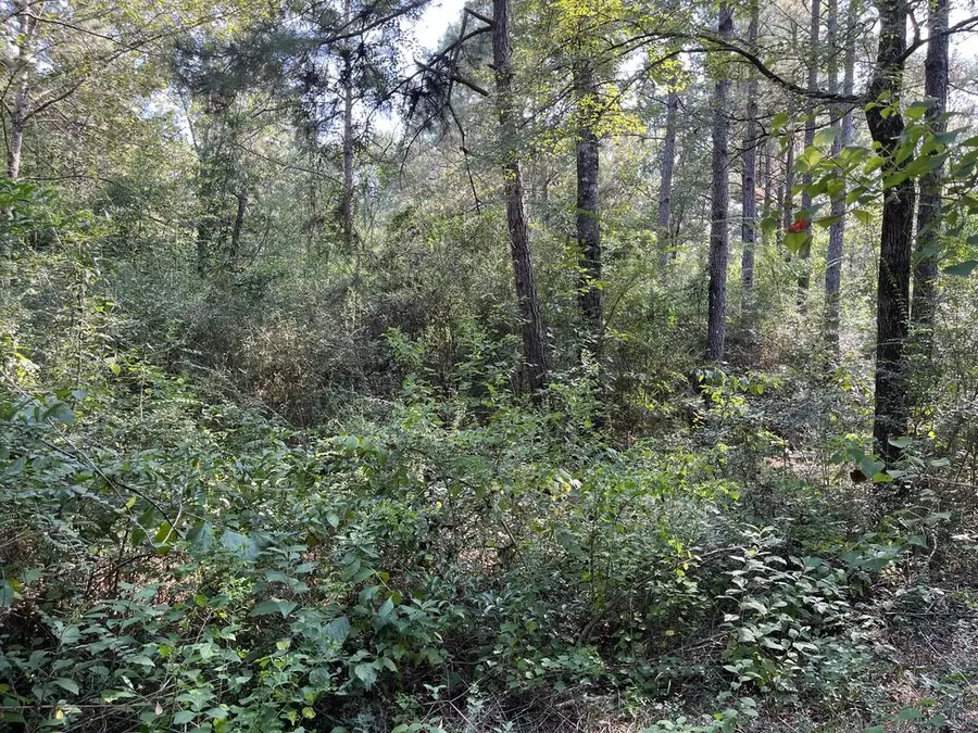 16328 Hwy 69 South, Huntington, TX 75949 - #3