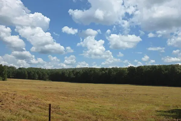 6385 County Road 425, Jasper, TX 75951