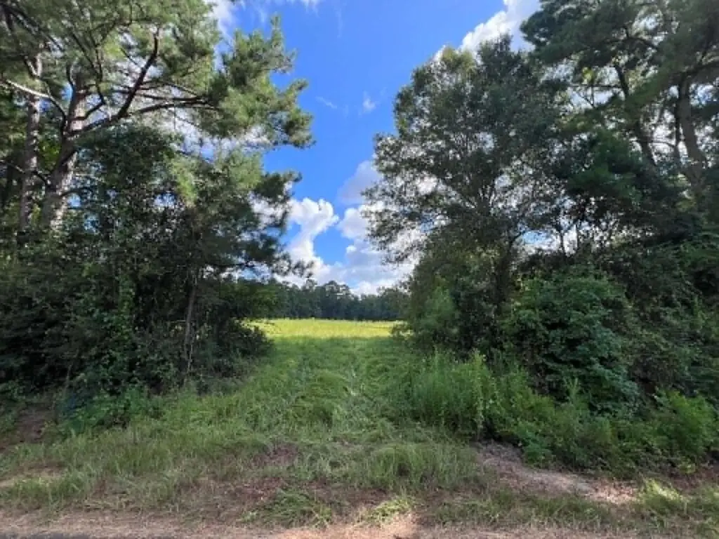 5.84 AC Us Hwy 190 W, Jasper, TX 75951 - #1