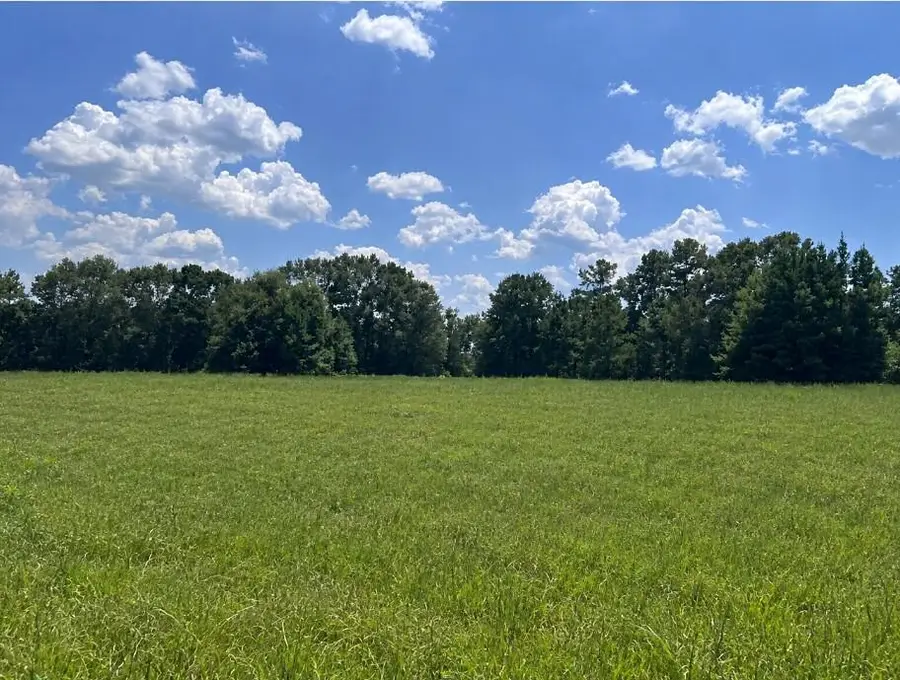 5.84 AC Us Hwy 190 W, Jasper, TX 75951 - #3