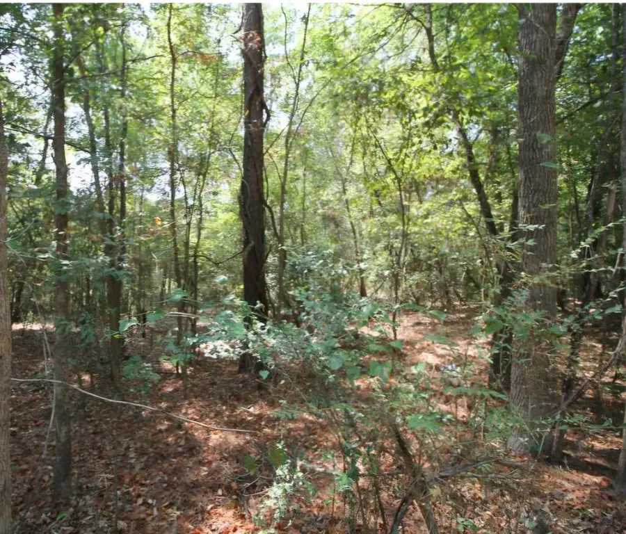 56238 Ridgecrest Drive, Lufkin, TX 75901 - #2