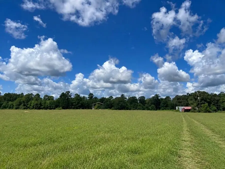 941 County Road 2014, Newton, TX 75966 - #2