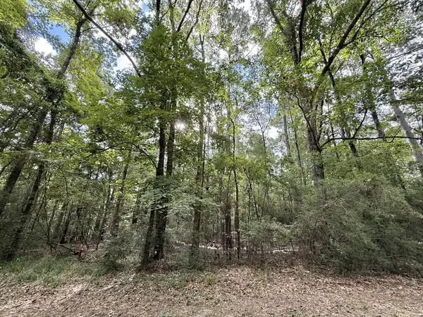 Lot # 986 Bowline Drive, Hemphill, TX 75948