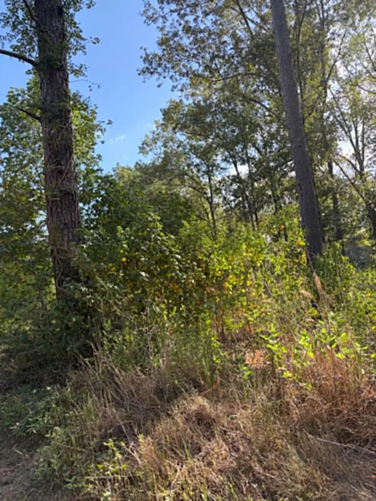 R(1) 155685 Miles Road, Lufkin, TX 75901 - #1