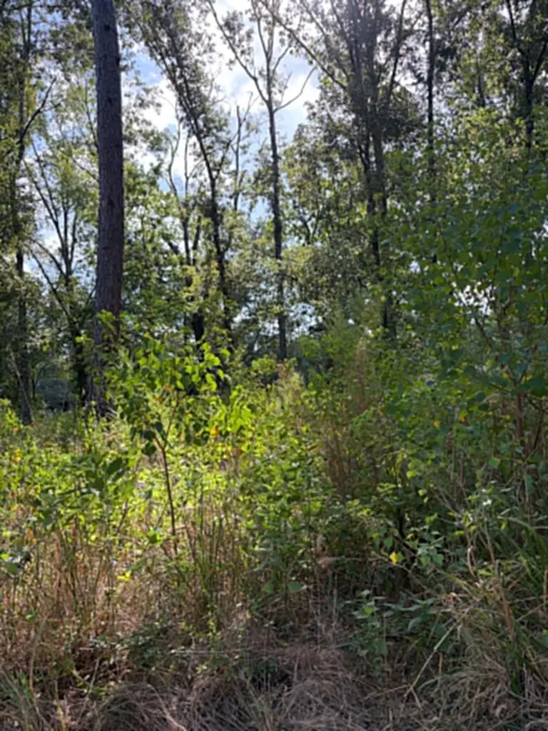R(1) 155685 Miles Road, Lufkin, TX 75901 - #2