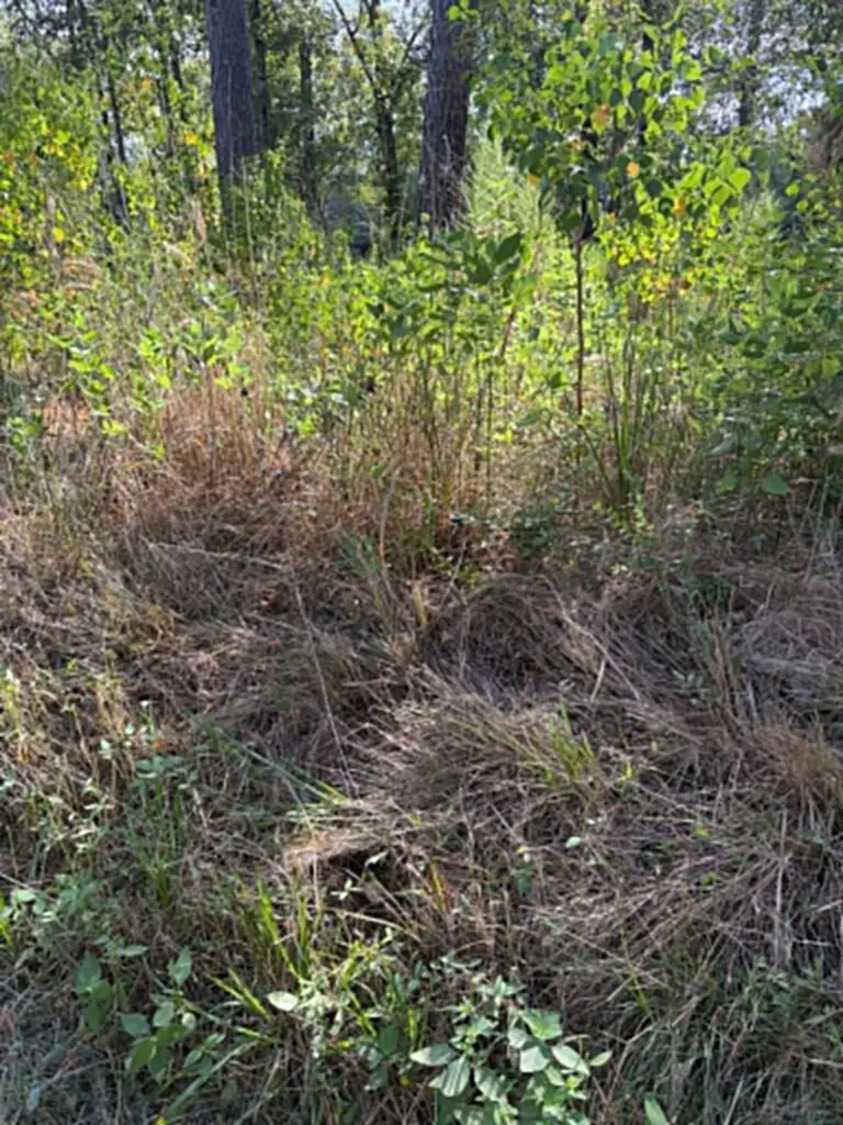 R(1) 155685 Miles Road, Lufkin, TX 75901 - #3
