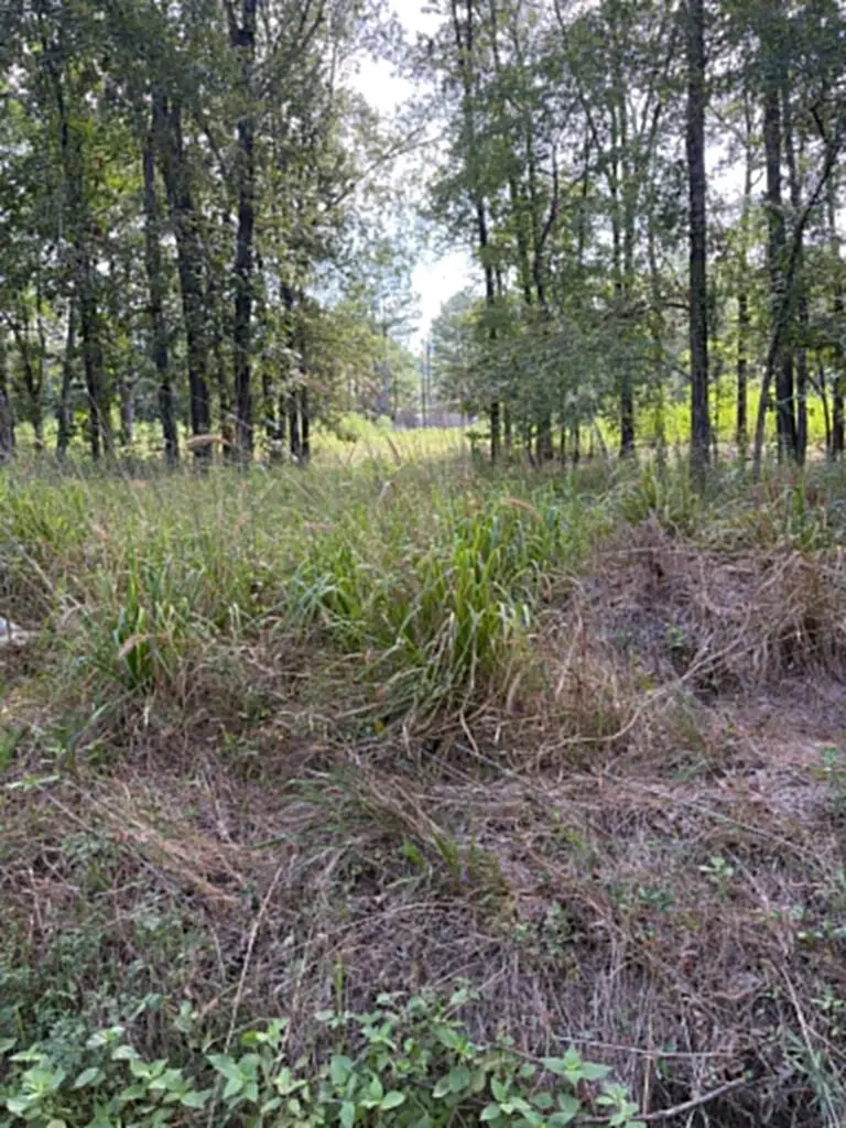 R(2)155685 Miles Road, Lufkin, TX 75901 - #2