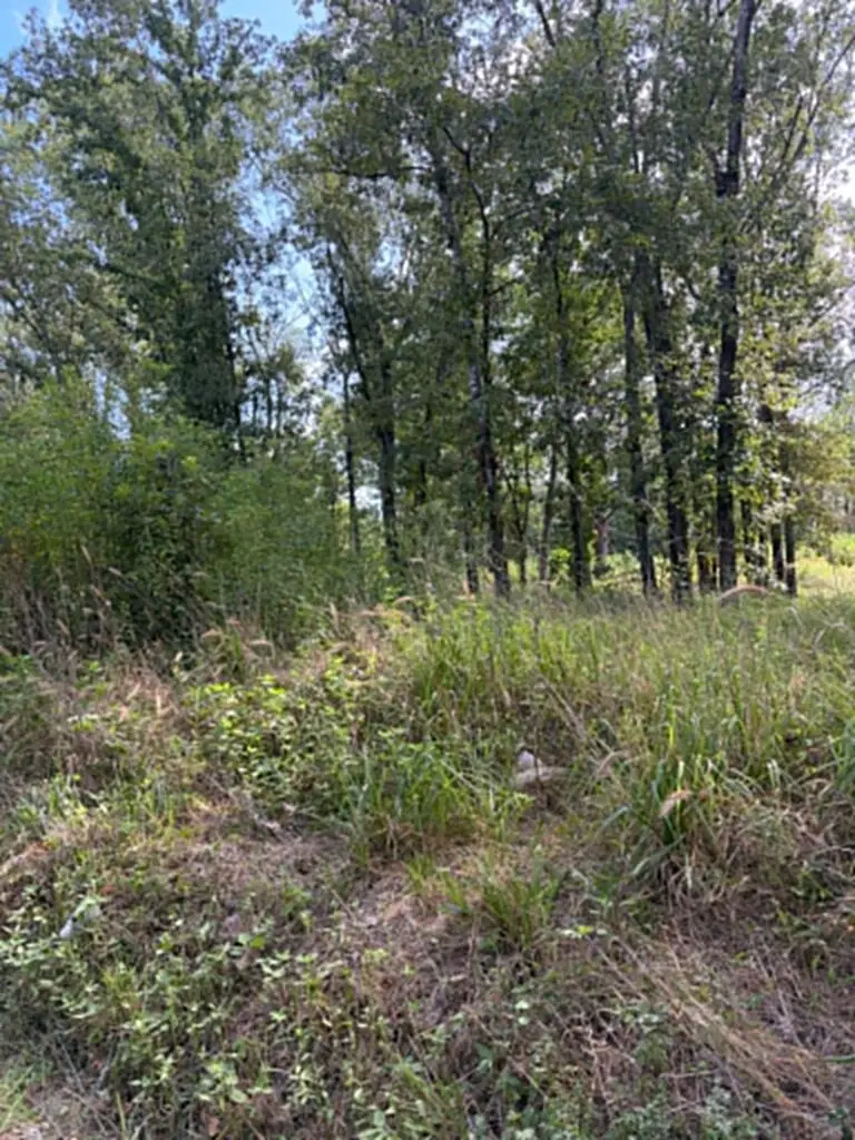 R(2)155685 Miles Road, Lufkin, TX 75901 - #3
