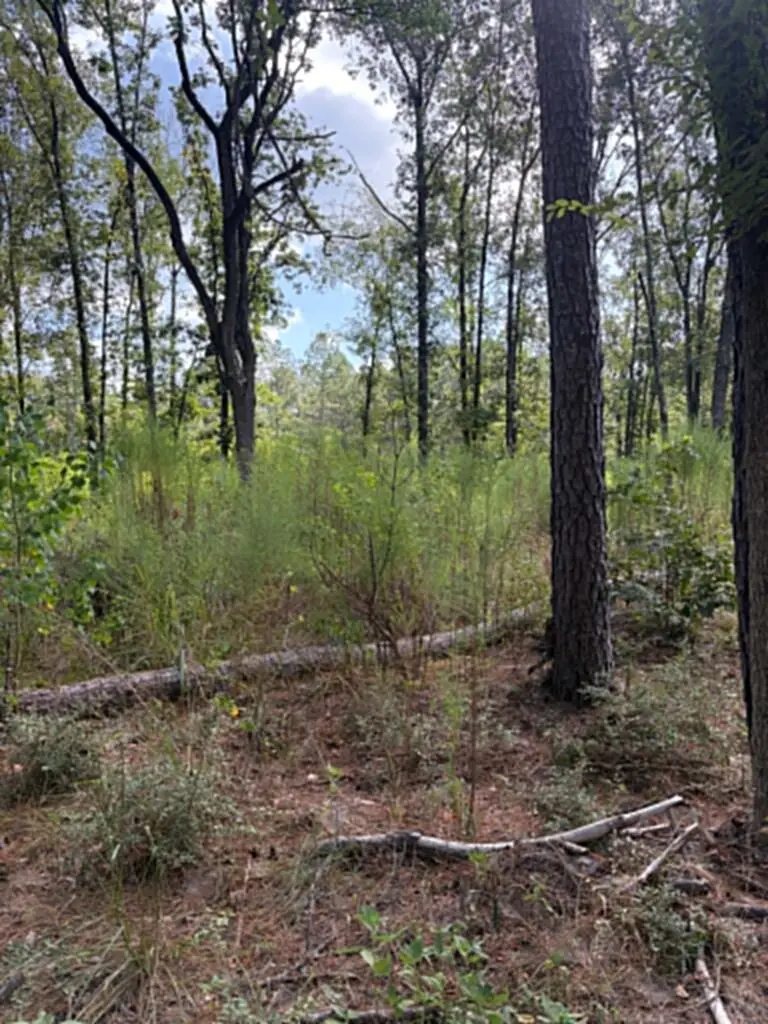 R(3)155685 Miles Road, Lufkin, TX 75901 - #3