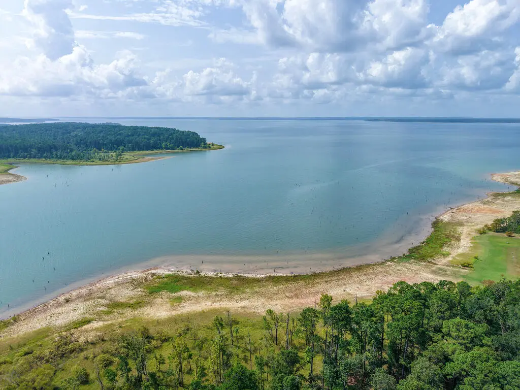 PID 14756 Tall Pines Drive, Broaddus, TX 75929 - #1