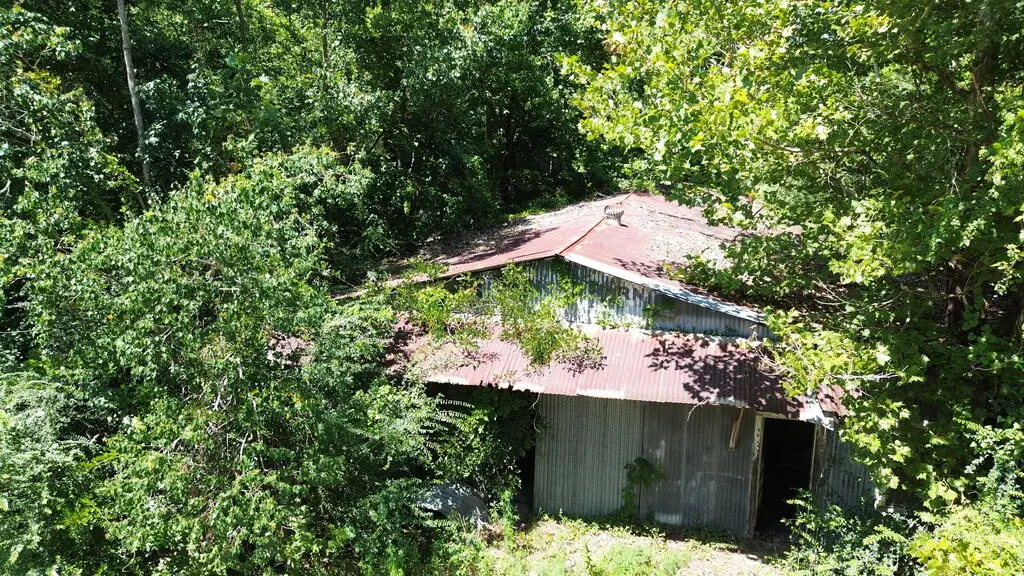 .48AC Fm 1013 W, Kirbyville, TX 75956 - #1