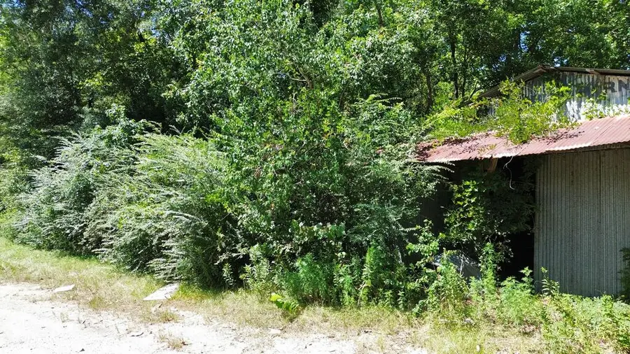 .48AC Fm 1013 W, Kirbyville, TX 75956 - #3