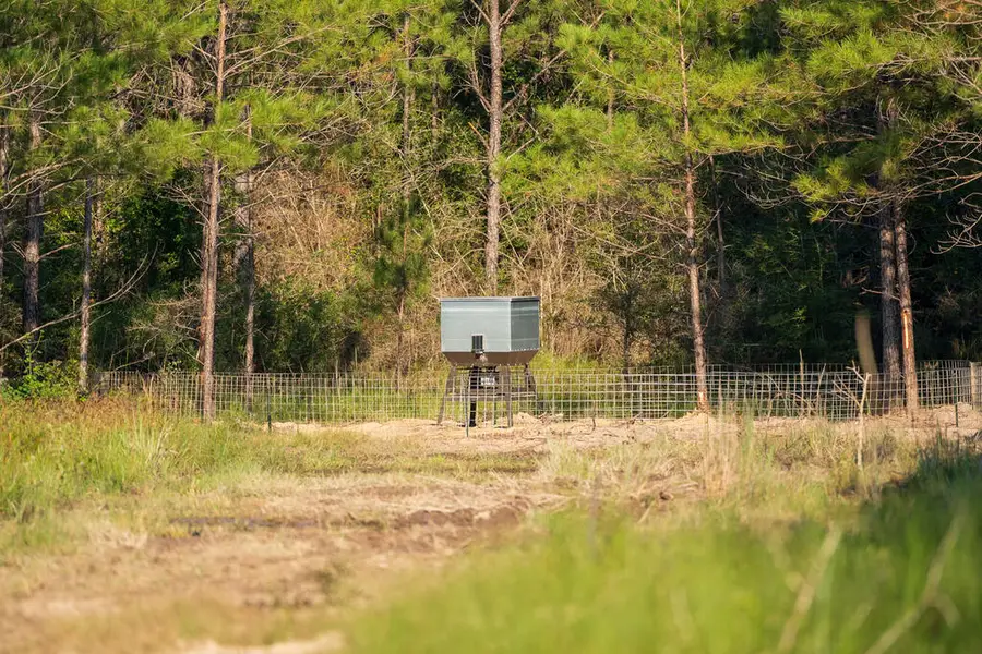 PID # 000449000 County Road 037, Colmesneil Chester, TX 75938 - #3