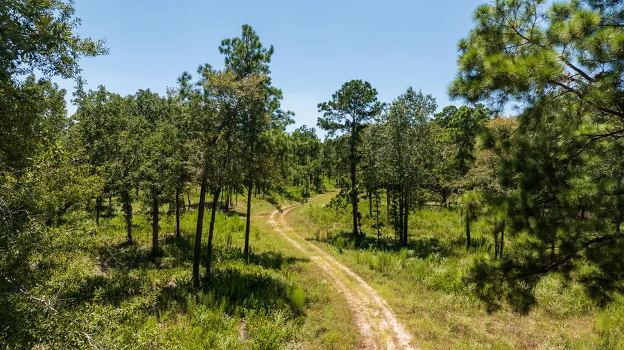 00 College Drive, Lufkin, TX 75901 - #2