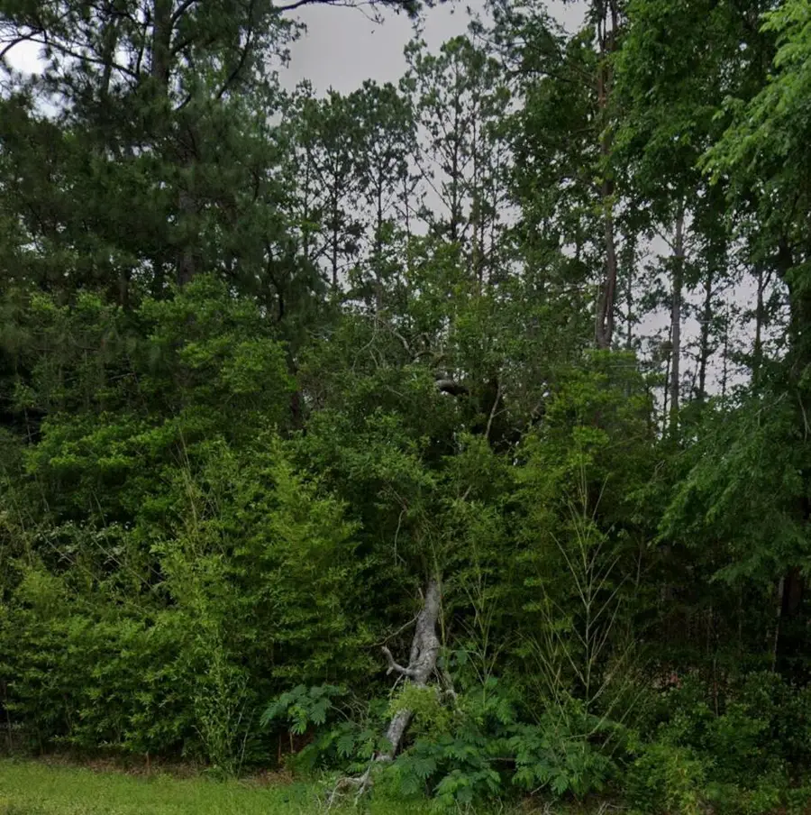 .44 AC Fm 3414, Jasper, TX 75951 - #3
