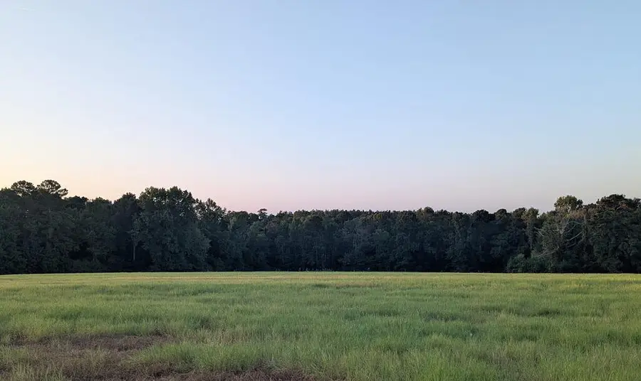 Parcel # 215499 Fm 343, Harleton, TX 75670 - #2