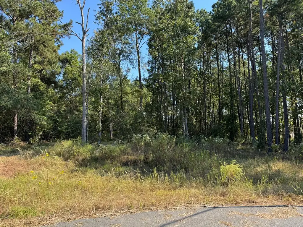 129 Yaupon Court, Lufkin, TX 75904 - #1