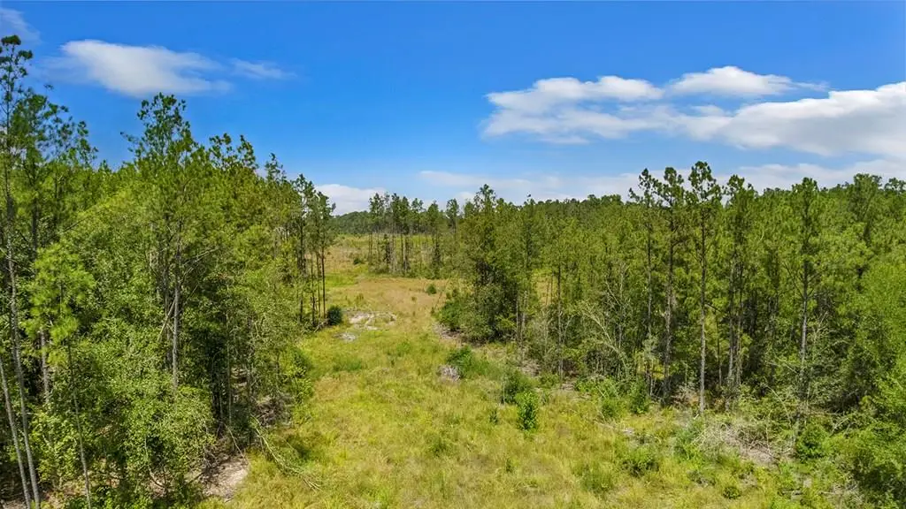 600 County Road 032a, Jasper, TX 75951 - #1