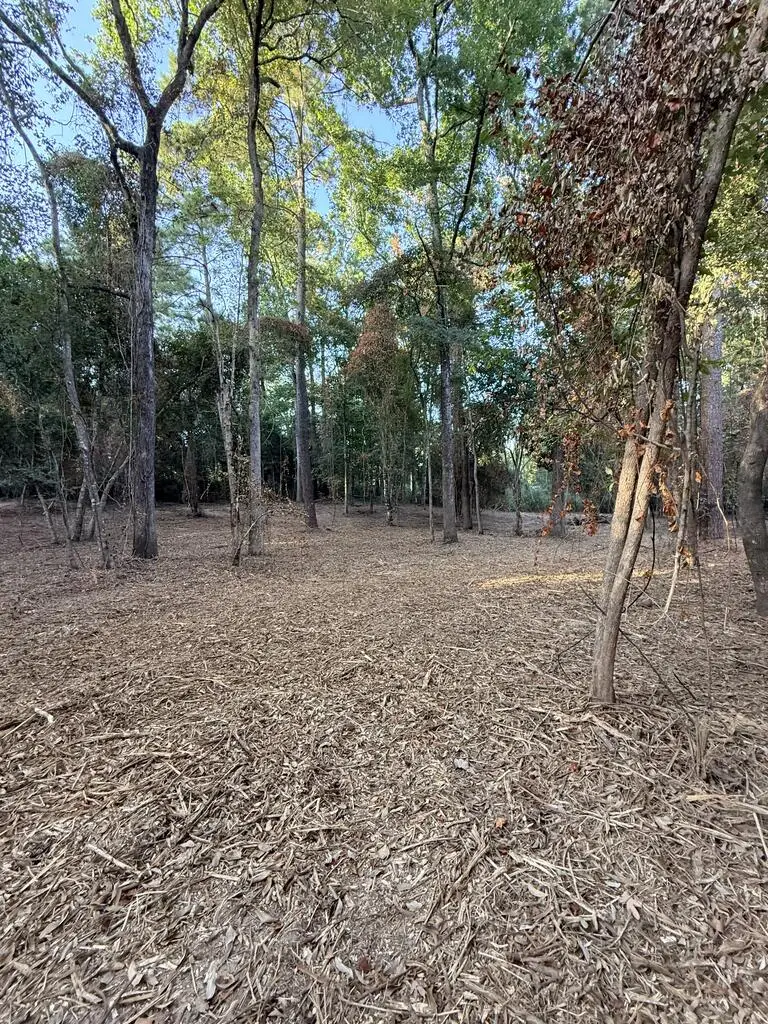PID 36539 County Road 185, Jasper, TX 75951 - #1