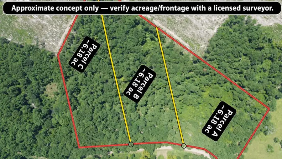 18.53AC County Road 3103, Call, TX 75933 - #3