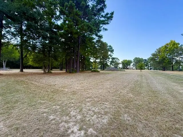 27 Sunray Ln, Hemphill, TX 75948 - #3