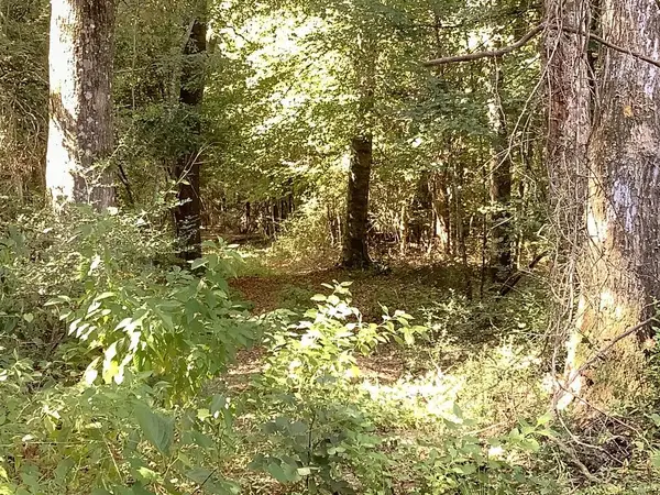 9101 County Road 022, Jasper, TX 75951