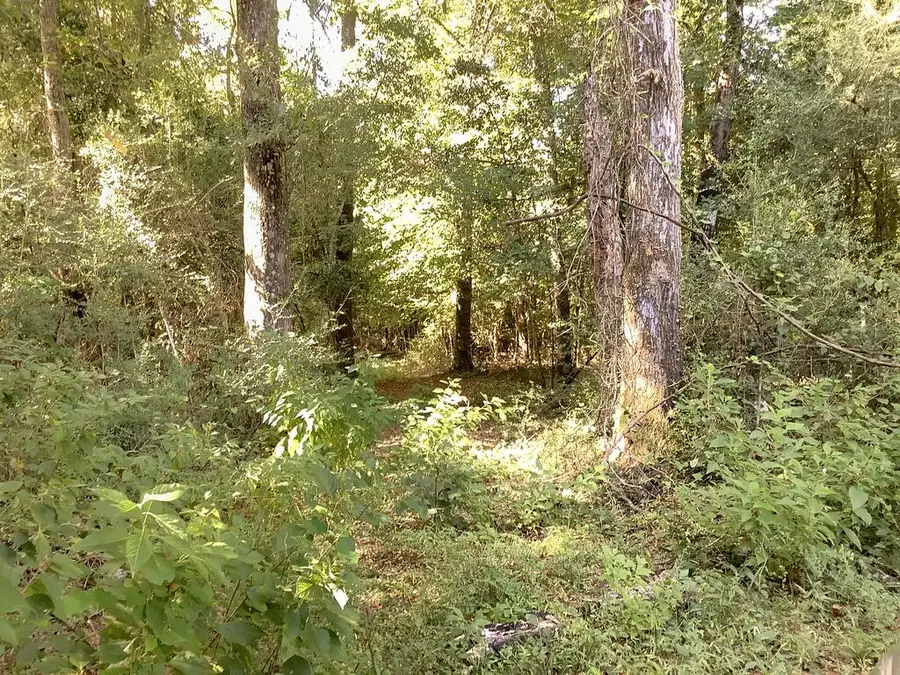 9101 County Road 022, Jasper, TX 75951 - #3