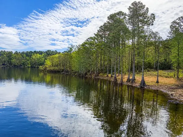 1485 Fairdale Road, Hemphill, TX 75948