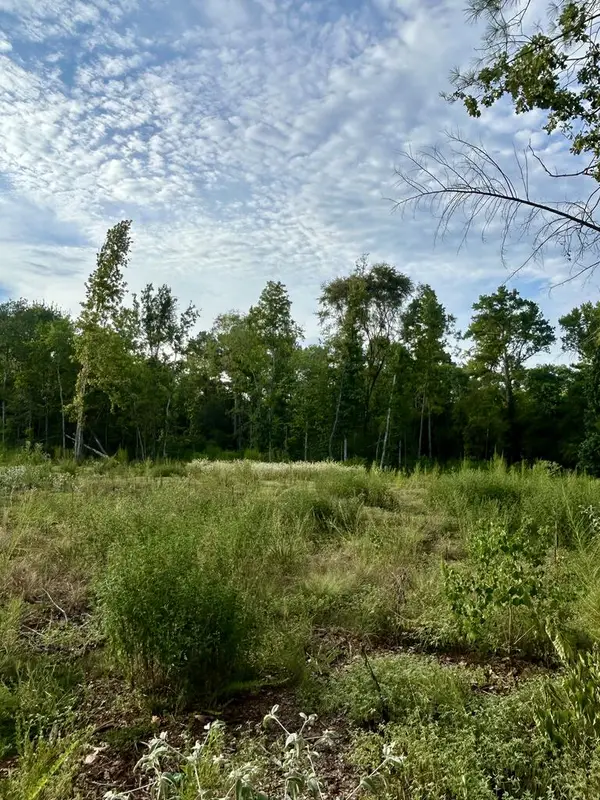 PID 28848 Cr 1735, Grapeland, TX 75844
