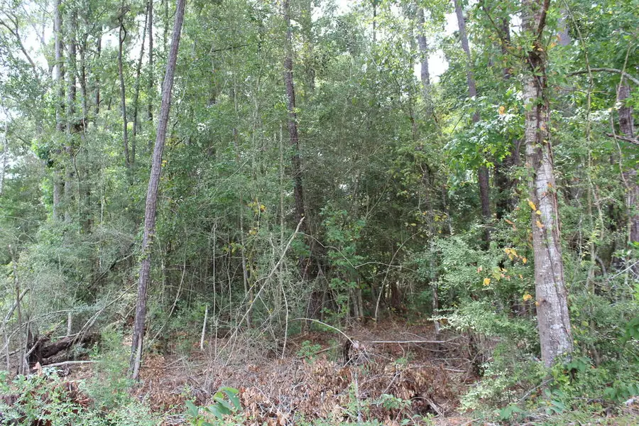ID 4939 County Road 035, Jasper, TX 75951 - #2