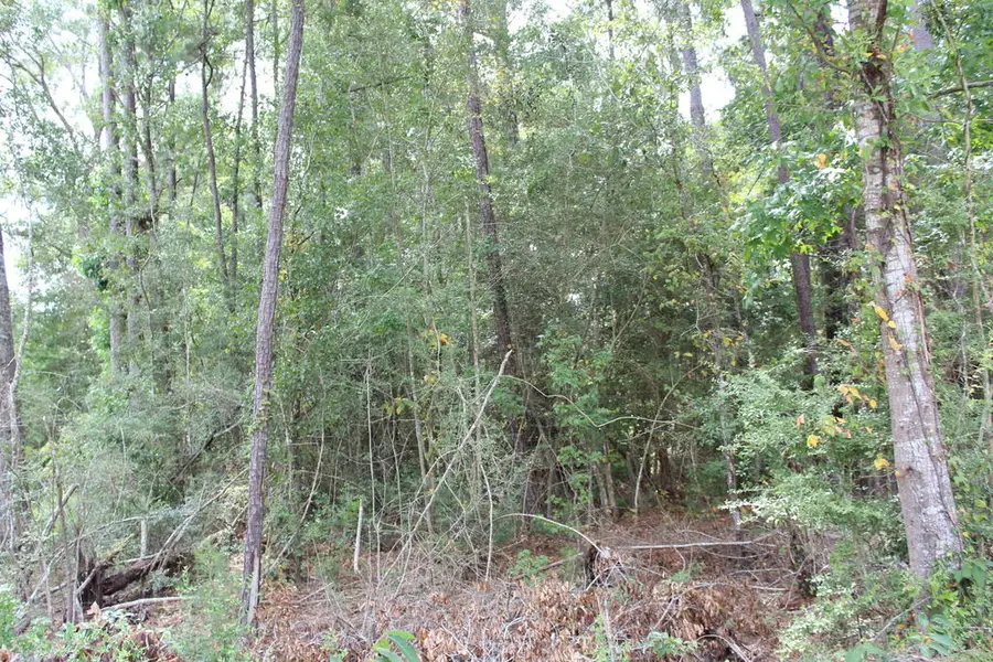 ID 4939 County Road 035, Jasper, TX 75951 - #3