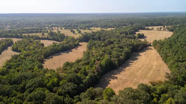 PID # R13080 Cr 3717, Tenaha, TX 75974